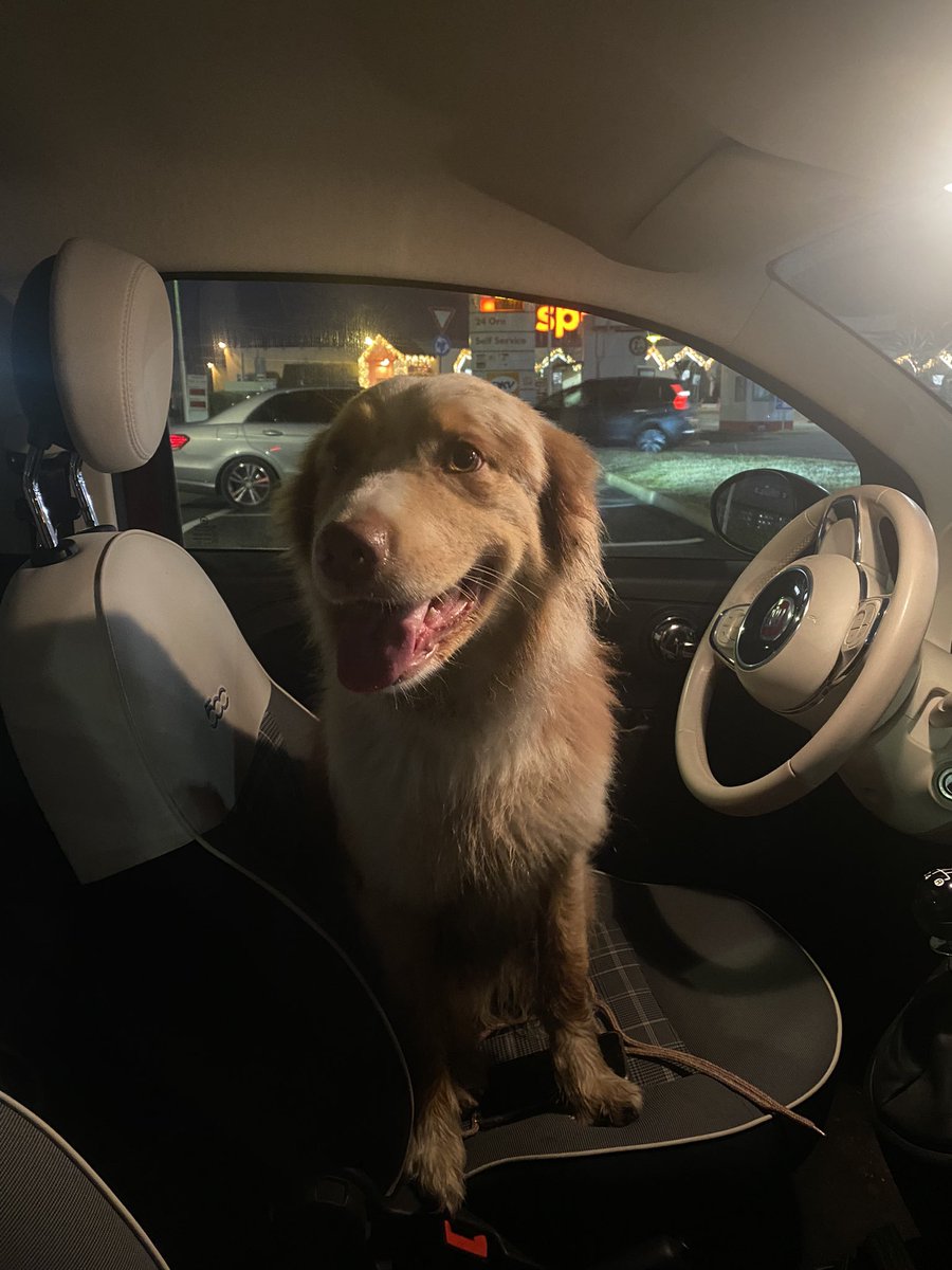 Il primo giorno dell’anno mi ha portato a conoscere questo bimbo. Ad altri 364 giorni di avventure a lieto fine come questa.