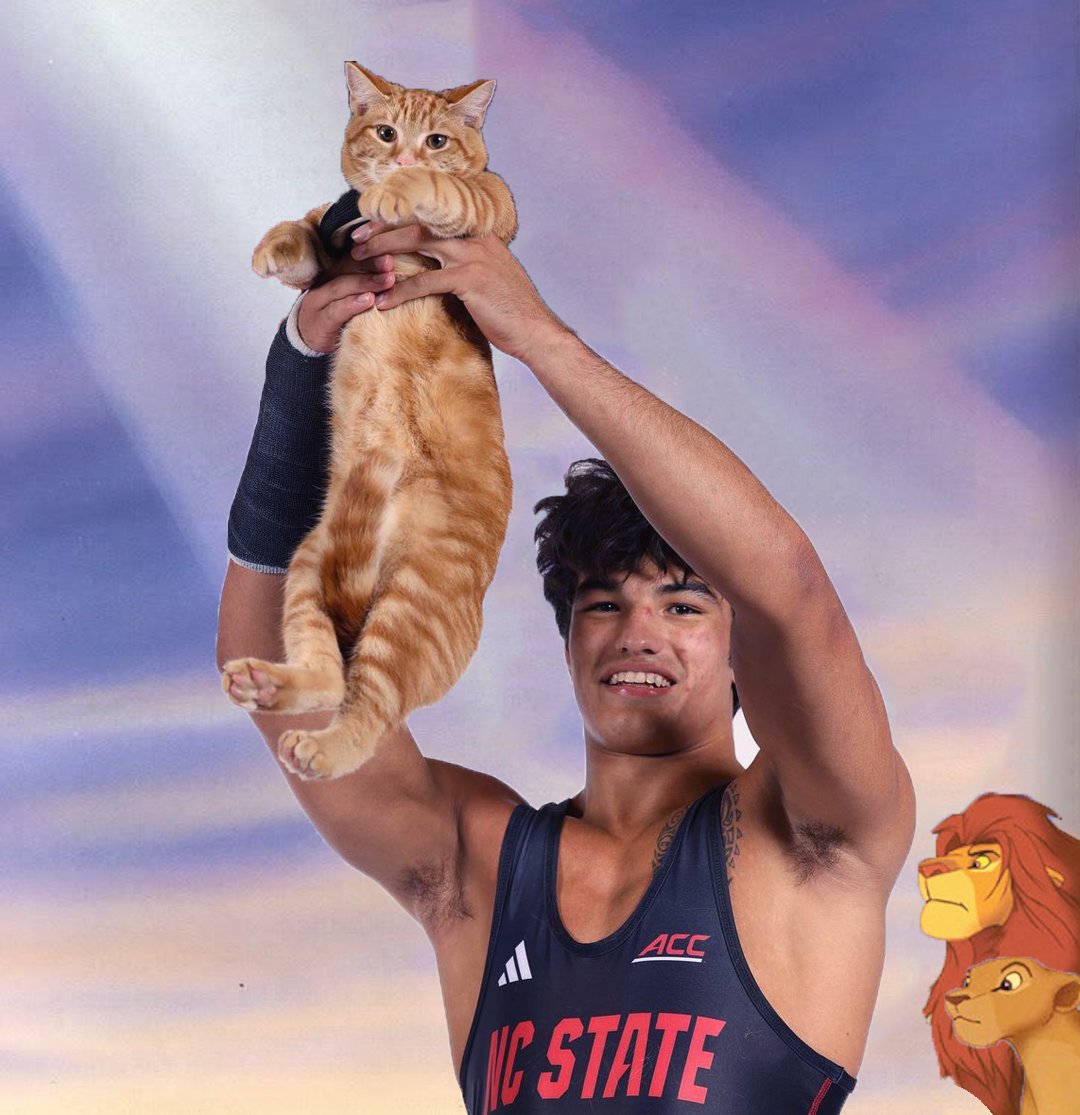 ProudSinglet's tweet photo. https://t.co/LXzWQ2a5oV