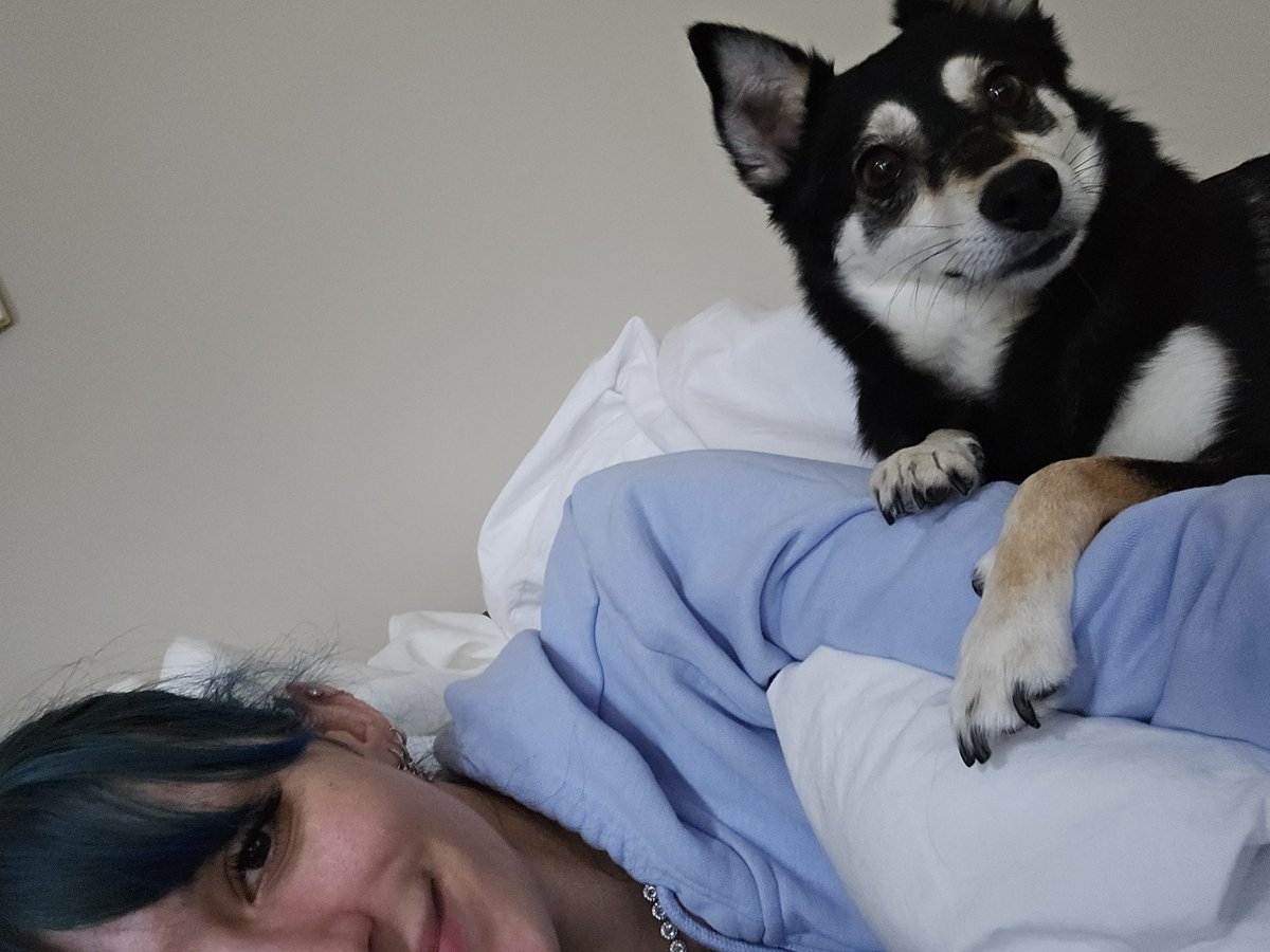 Excited to announce that I just completed my first nap of 2024, my biggest accomplishment so far this year. 
I can have AT LEAST a second one in the next 365 days, so much to look forward to! 
Excited to accomplish many more naps this year. 🤭 https://t.co/OmBqxiew0O