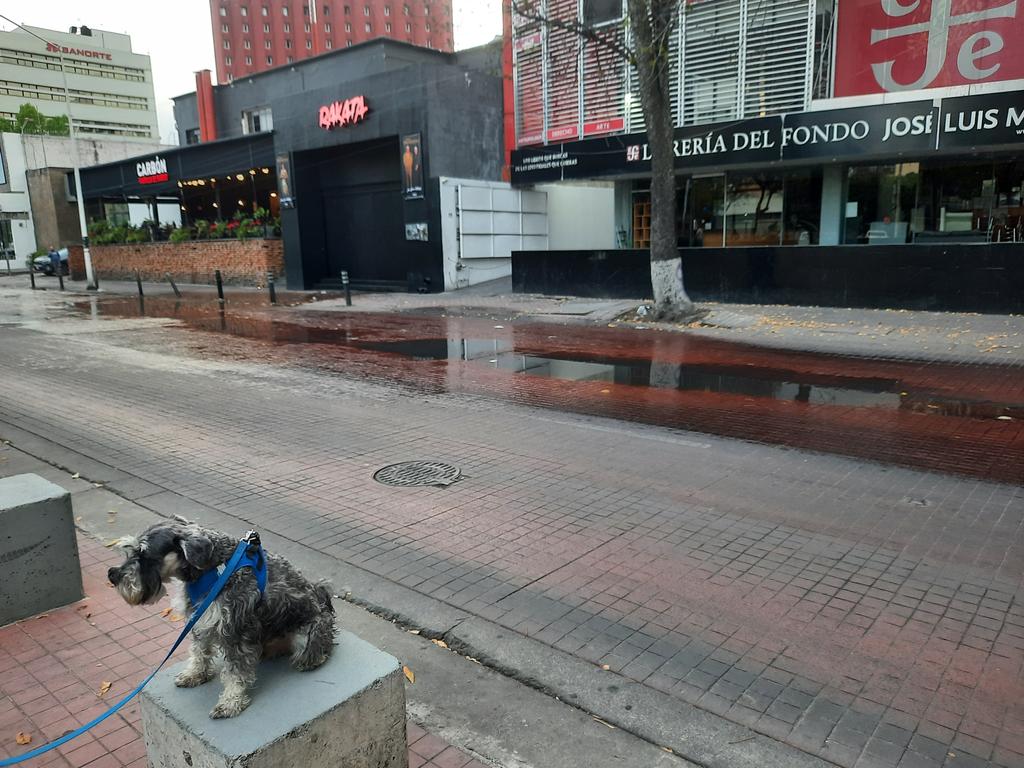 Esta fuga de agua en #Chapultepec y Libertad tiene semanas derramando litros de agua.
Ojo aquí <a href="/siapagdl/">Siapagdl</a> o <a href="/GuadalajaraGob/">Gobierno de Guadalajara</a> para detener fuga lo más pronto posible.