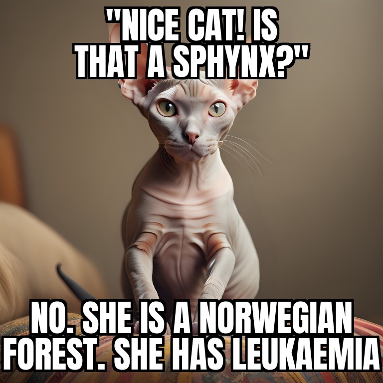 MetalThink's tweet image. Are you a cat person?