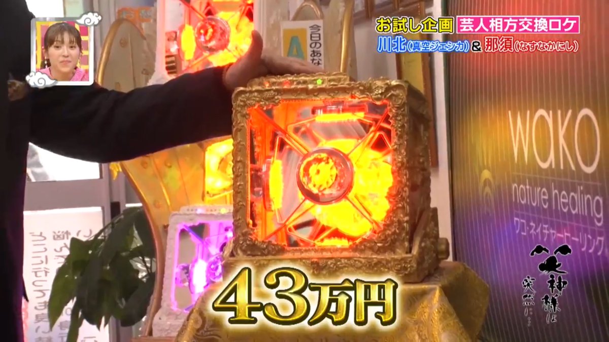 笑神様は突然に…』視聴。パワースポット巣鴨なるスピ系ショップで真空