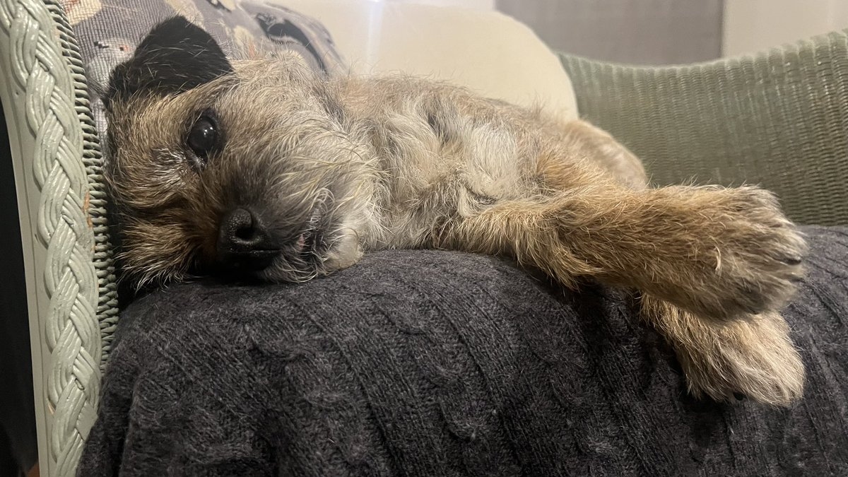 Maggie_the_BT's tweet image. Spectacular show and congratulations to all those receiving awards tonight. I need a lie down now.  #BTPNYH