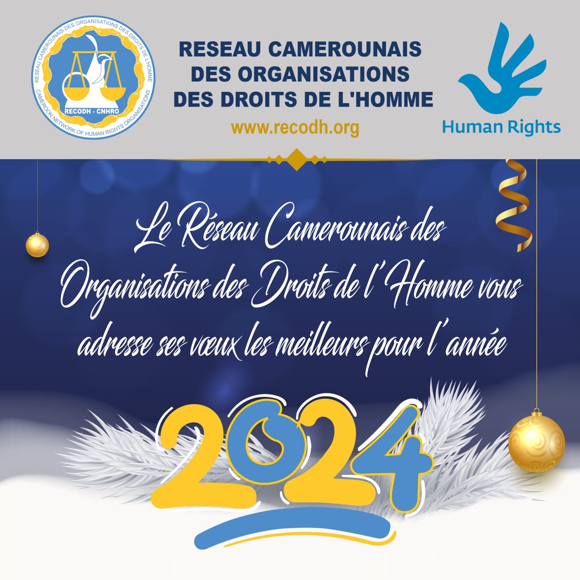 RECODH/CNHRO tweet media