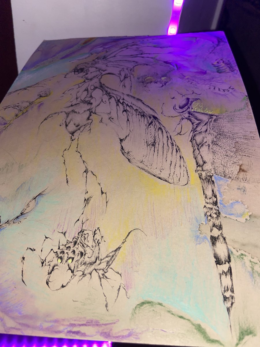 aller voir jai posté sur mon compte cette dinguerie @/gabcbl Sur ig ;)