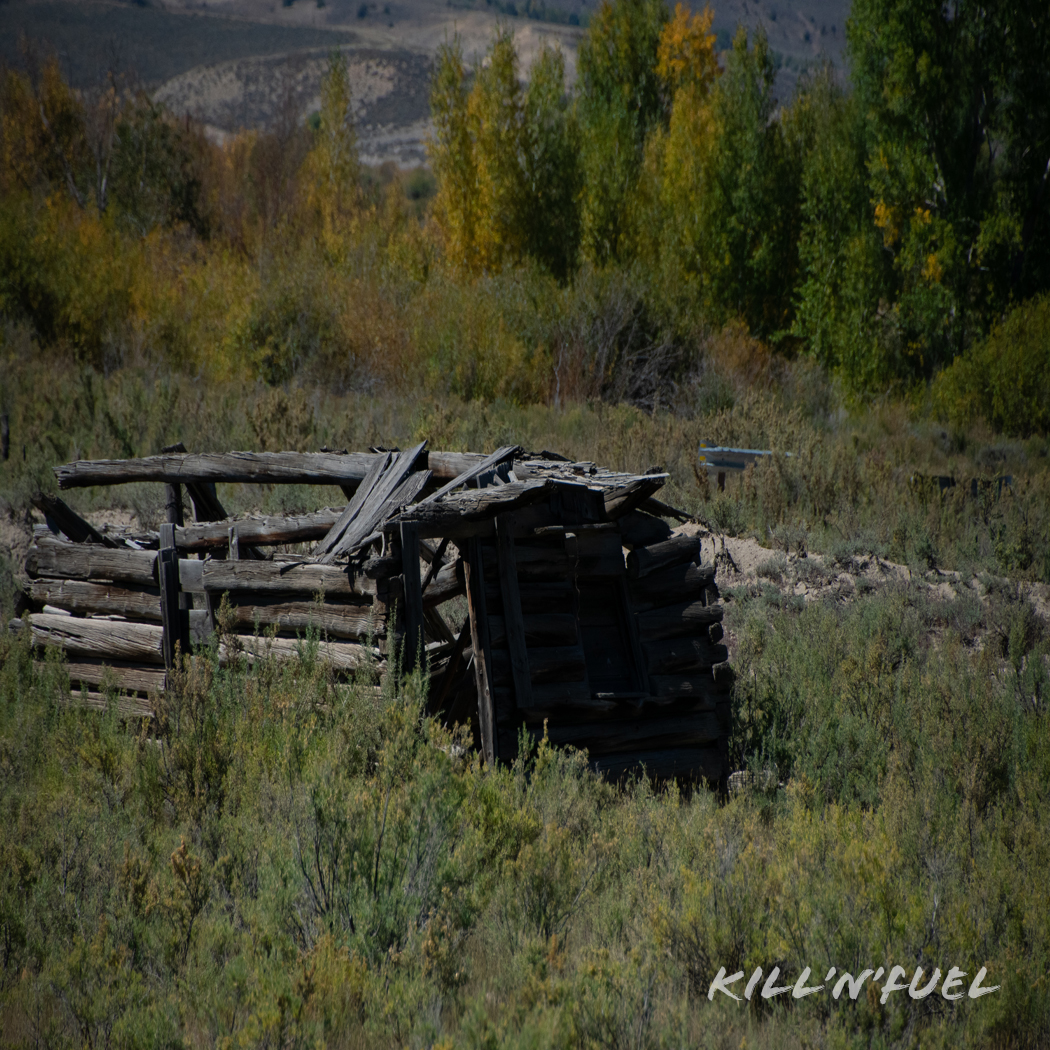 KillNFuel's tweet photo. Fallen apart but still beautiful.
#building #shed #wood #natural #leftbehind #unused #woodbuilding #small #shack https://t.co/06idFczfCe