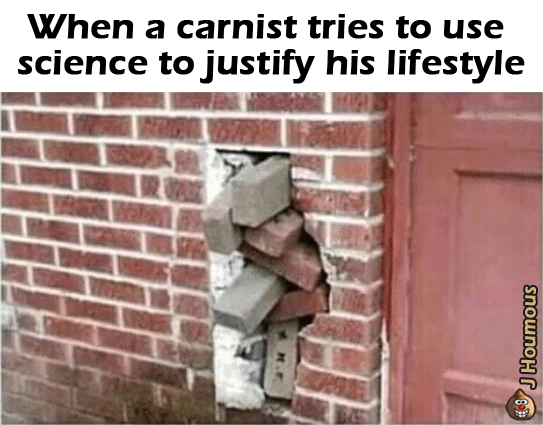 j_hummus's tweet photo. #veganmeme #veganmemes #vegetarianhumor #Vegan #vegan #vegans #veganism #vegetarian #vegetarians #vegetarianism #VeganForTheAnimals #carnism #meateaters #nonvegans #carnists #goveg #GoVegan #nomeat #meatisnotforhumans #meatless #ethics #Science https://t.co/ZFXtNOUQun