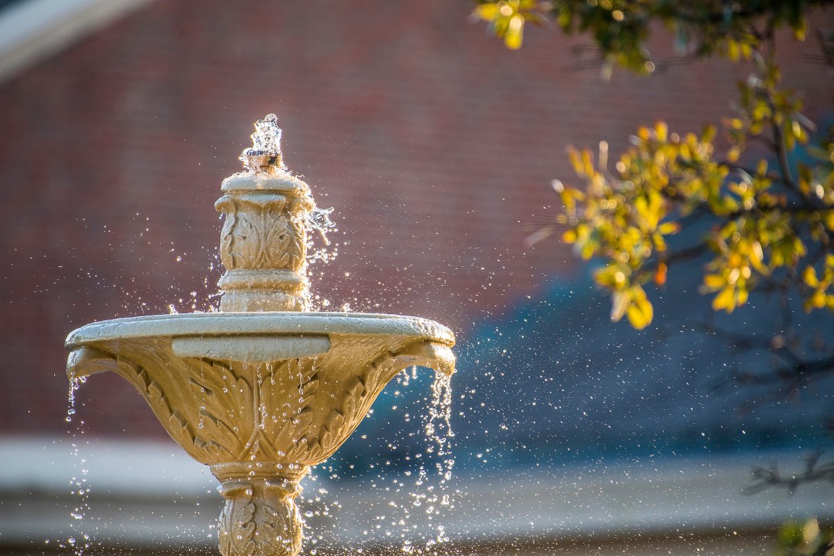 Happy New Year Pioneers! 🎉🎉