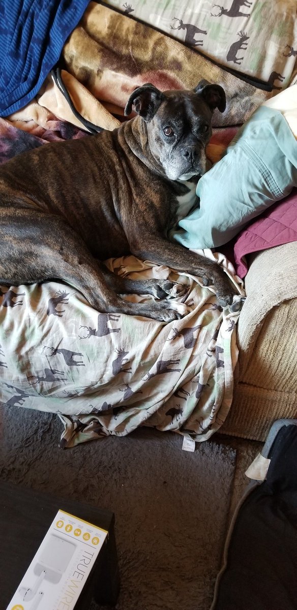 38Sandy48's tweet photo. Thank You everyone for following me and my adventures this year. We lubs you all and have a great New Year. πππ https://t.co/Zfb2ksgOku