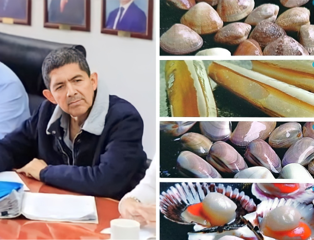 ANEPAP's tweet photo. ANEPAP: Recuperación de la cadena productiva de moluscos bivalvos no pectínidos para exportación, podría erigirse en un pilar de reactivación económica. @MINPRODUCCION @MEF_Peru @MINCETUR @pcmperu @presidenciaperu @AlejandroSotoRe @JorgeMo82134070 
https://t.co/EMzGtSY6LB https://t.co/VdYxzOafAO
