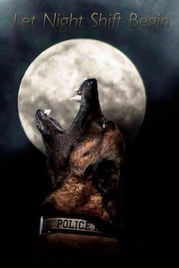 Scottish Police Dog Memorial tweet media