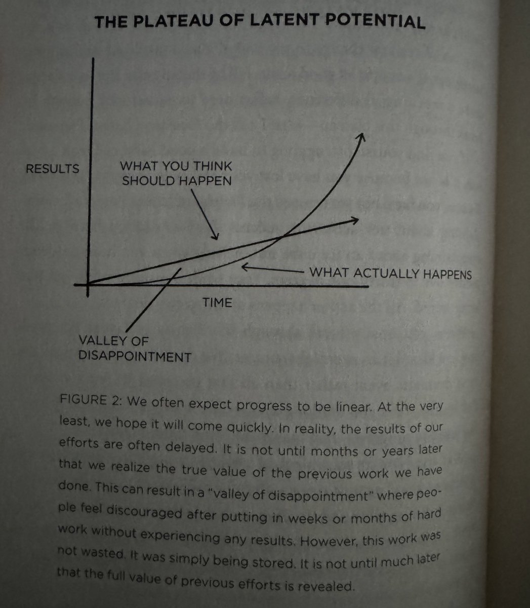 rego • tweet media