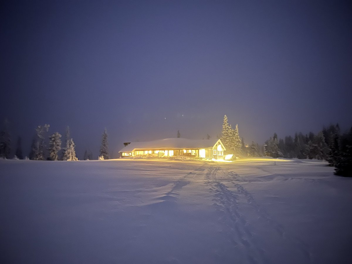 Frohes neues Jahr euch allen!