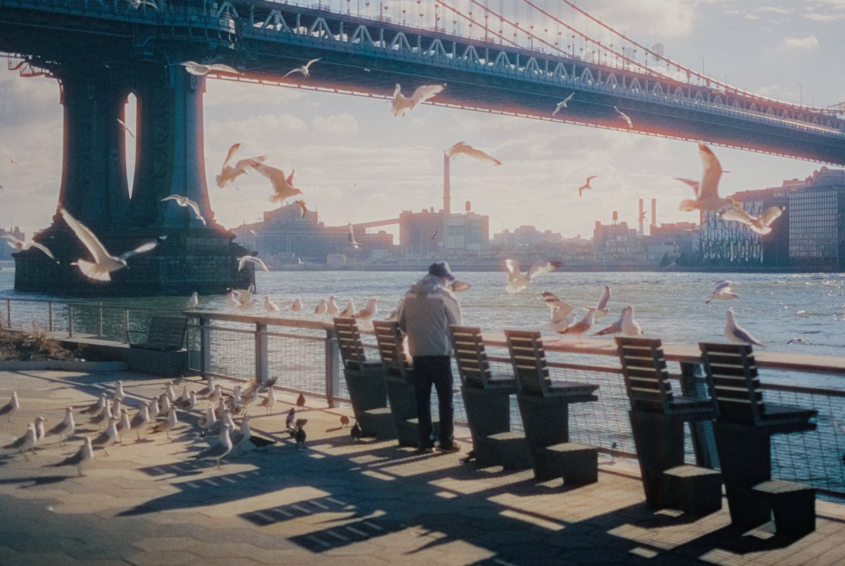 michaelboegl's tweet photo. Film photos from NYC 🎞️ https://t.co/0Mk0uFCdPl