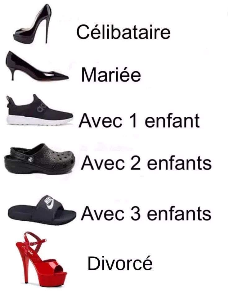 🇨🇵LaGauloise tweet media