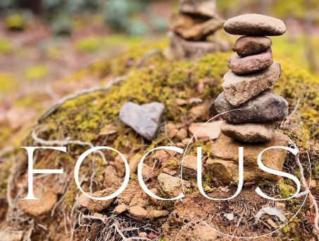 writenoelle's tweet photo. Focus. #OneWord2024 #OneWordChallenge #GuidingWord https://t.co/beUAPpDdK9