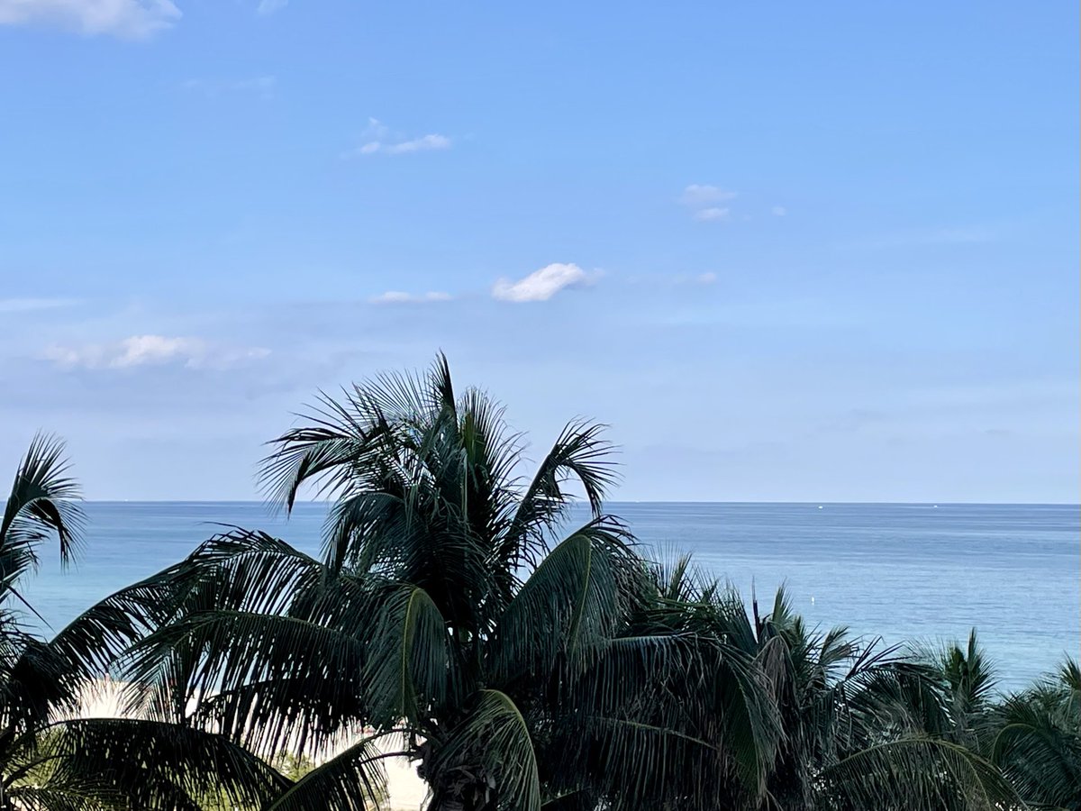 Ada Ferrer tweet media