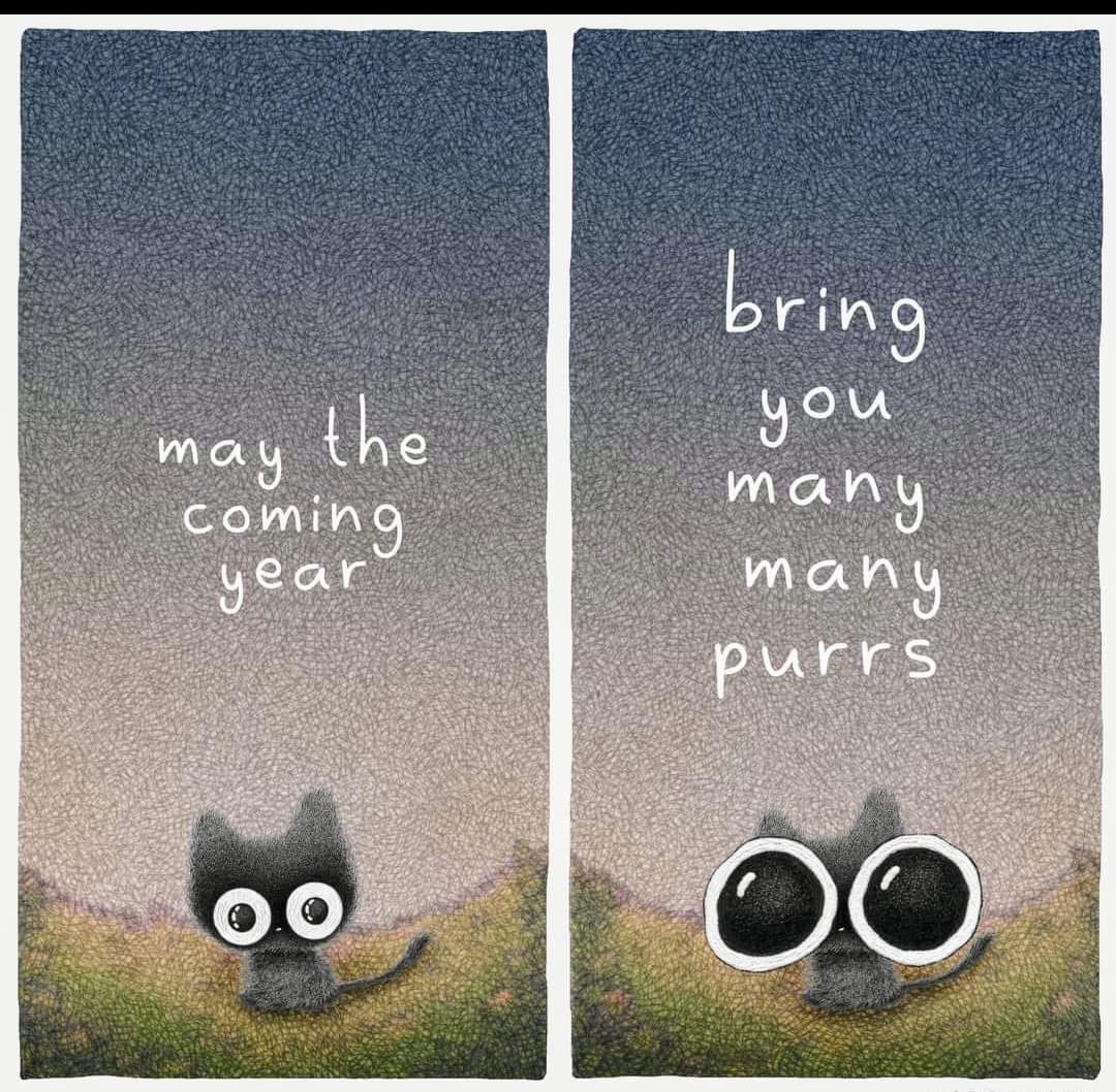 thebunnipanda's tweet photo. And apropriate changes https://t.co/CnGTJLCPI6