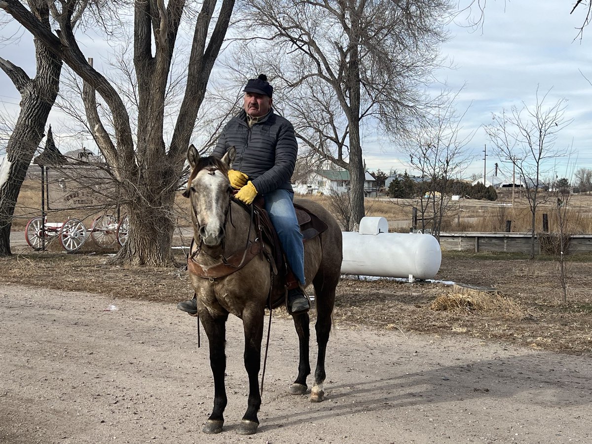 Weekes2192's tweet photo. I thought it was a good day to saddle a 2 yr old and go for ride Happy New Year every one https://t.co/4le7Ba0ZPu