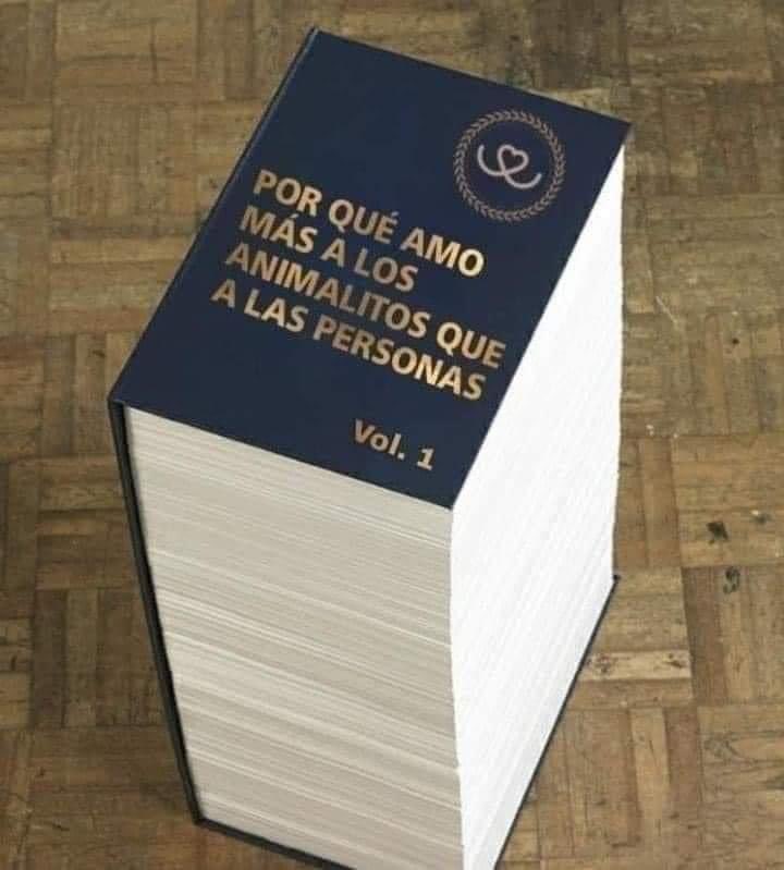 Mayú Guillén 🇲🇽🇺🇦 (@mayumiguillen) on Twitter photo 