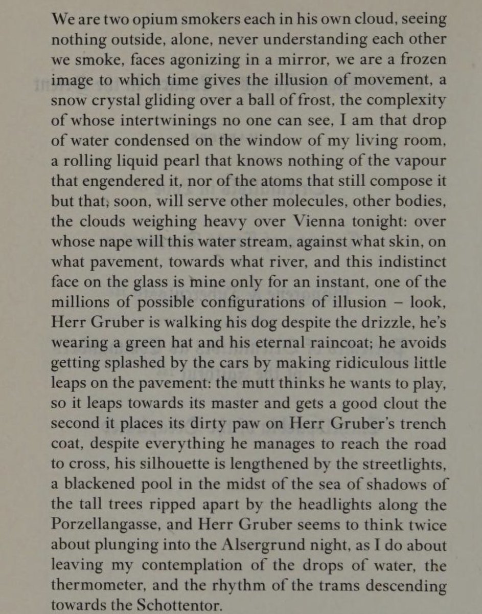 dreamsofbeing_'s tweet photo. Thinking of opening paragraphs. Compass. Mathias Énard, translated by Charlotte Mandell. @avecsesdoigts https://t.co/LLqCYMcgDn