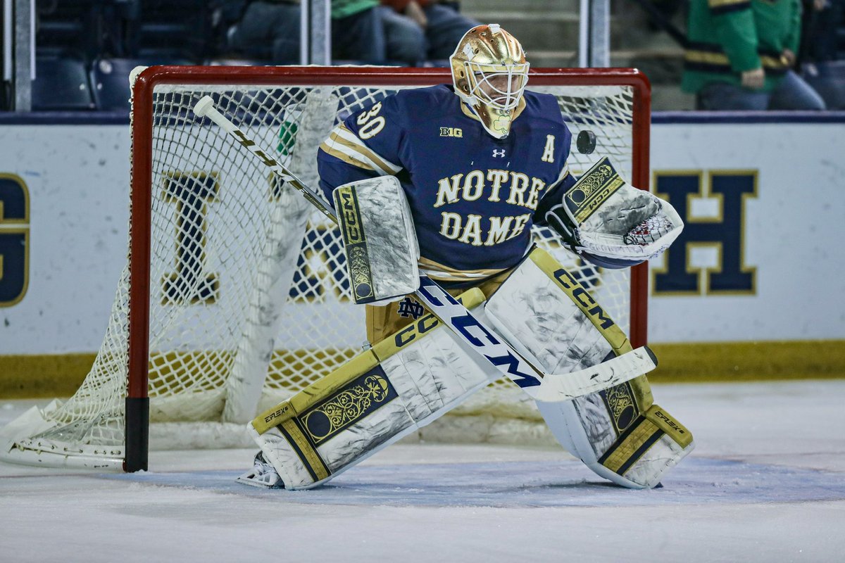 Photo Like a Champion tweet media