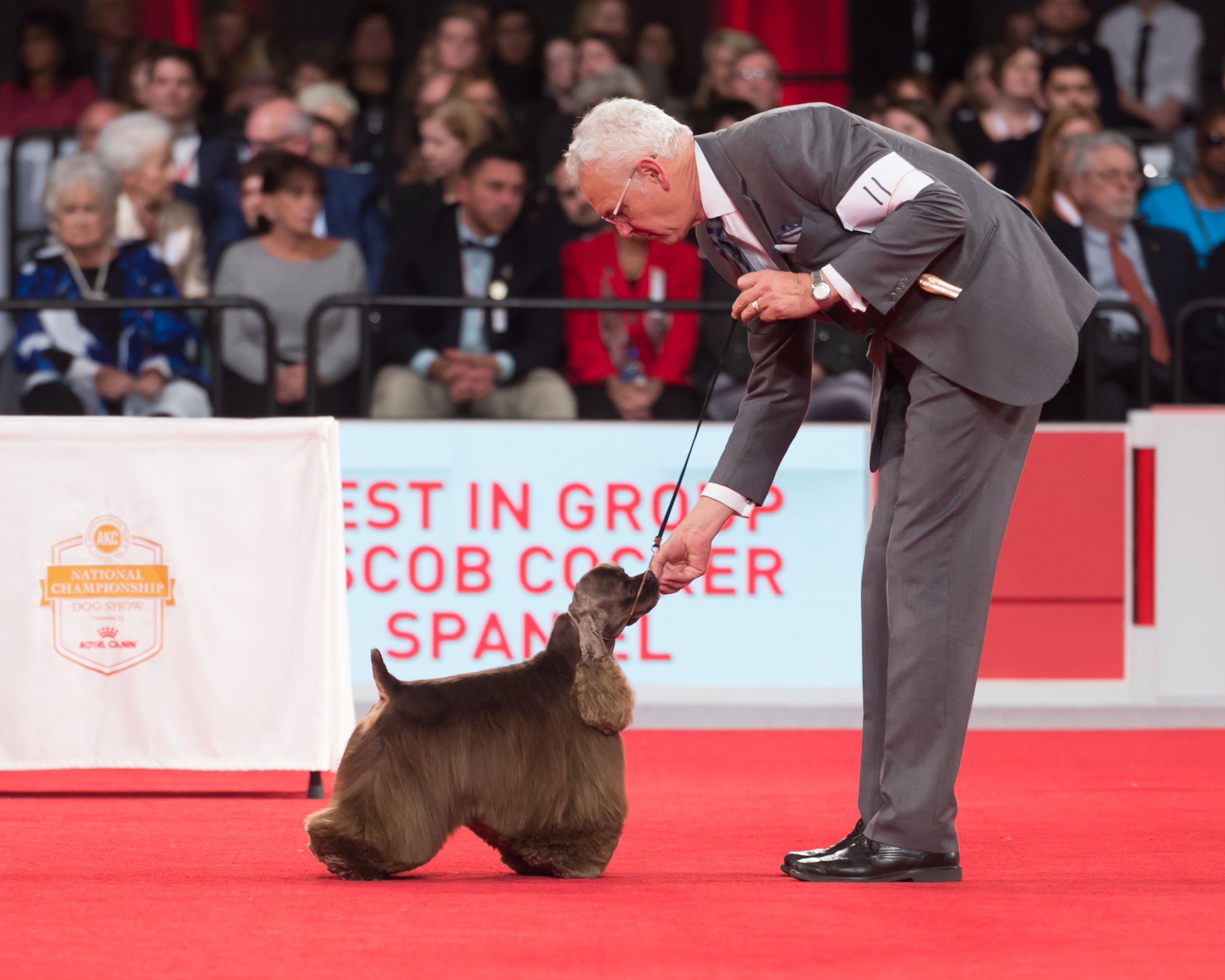 Royal Canin Dog Show 2025