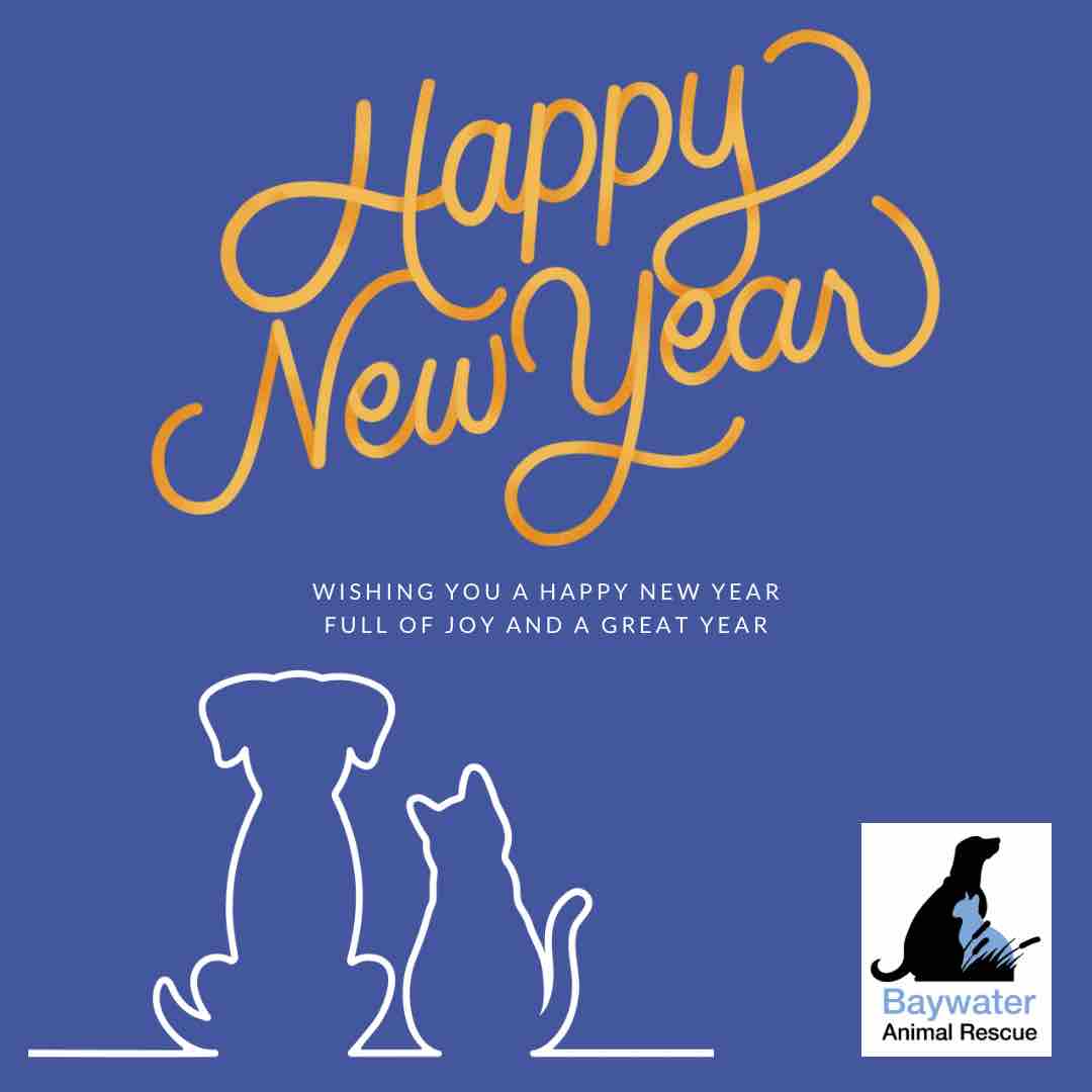 🎉 Happy New Year from Baywater Animal Rescue! 🎉 Thank you to all of our wonderful supporters. We are so excited to see what 2024 has in store 🐾