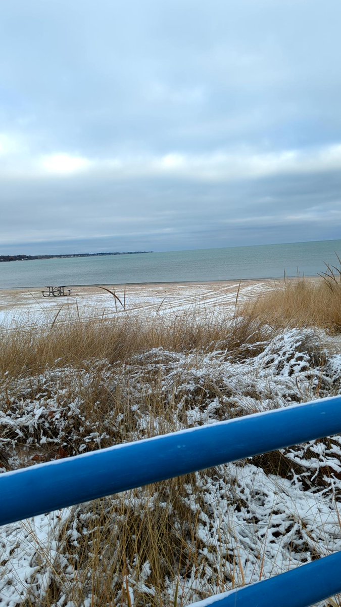 Thomas Ford tweet media