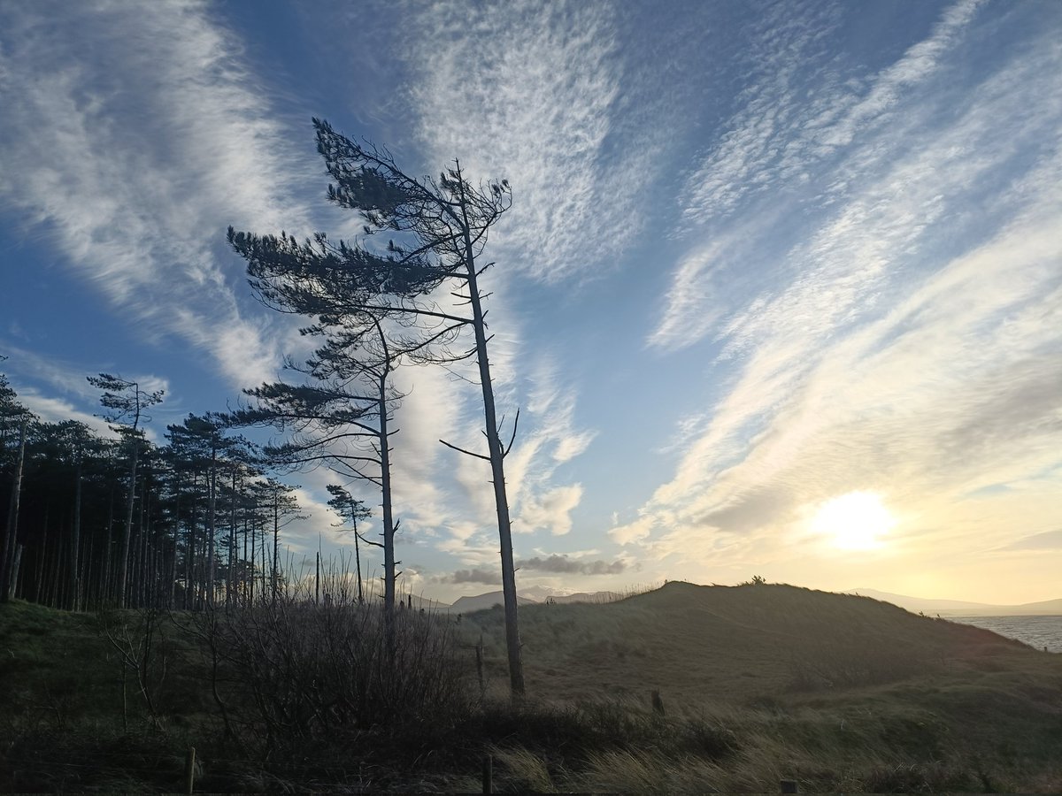 KarenDurber's tweet photo. Newborough parkrun plus a little extra. 23.4km forest trail and beach. #newborough #newboroughparkrun #runningtwins #runners #runr #monkeysox #HappyNewYear2024 https://t.co/1GLDRJUVk0
