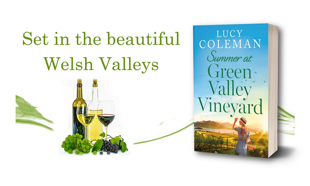 #Feelgood #summer read! Linzi trained in Italy and now she is the official vine whisperer in a vineyard in Wales. It's both her home and her job but could this summer change that forever? 💕 bit.ly/3Ym6FGr