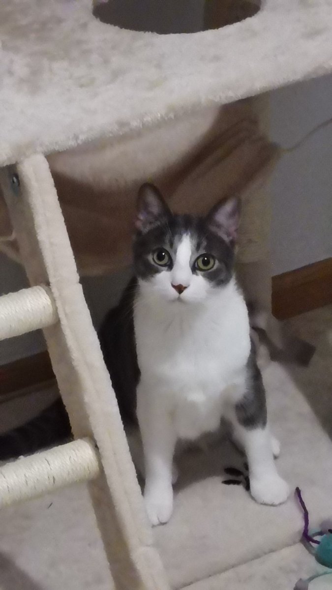 wezio05's tweet image. BONNE ANNÉE 🎉