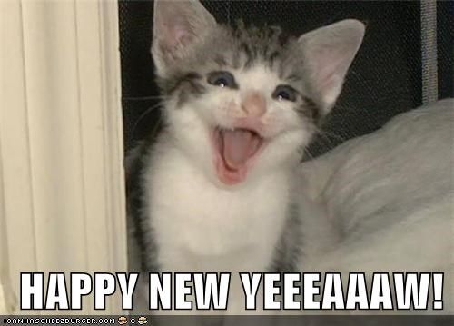 sunshine_irl's tweet photo. #HappyNewYear https://t.co/69CW2piXuO