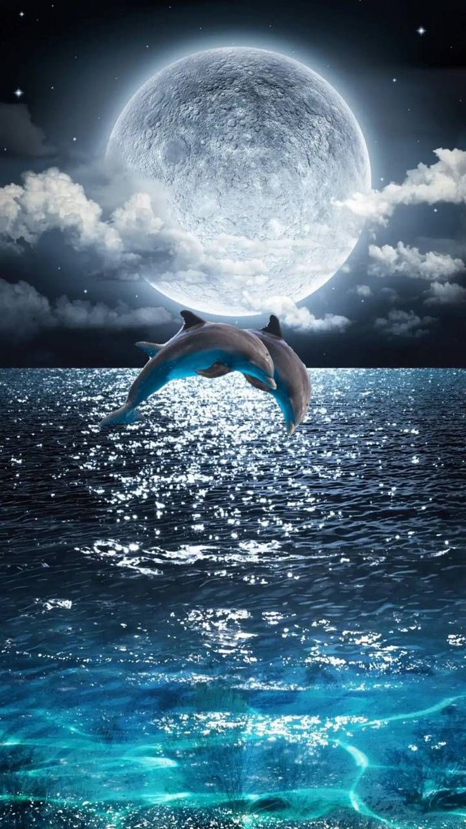 CorellaTej7982's tweet photo. #nature #NaturePhotography #photo #dolpnins #nightlovers #nightlover #fullmoon #lumiere #sealife #mer #mare #moon #plenilunio #animals #FelizAnoNuevo #felizmartes https://t.co/L0M85qlwwr