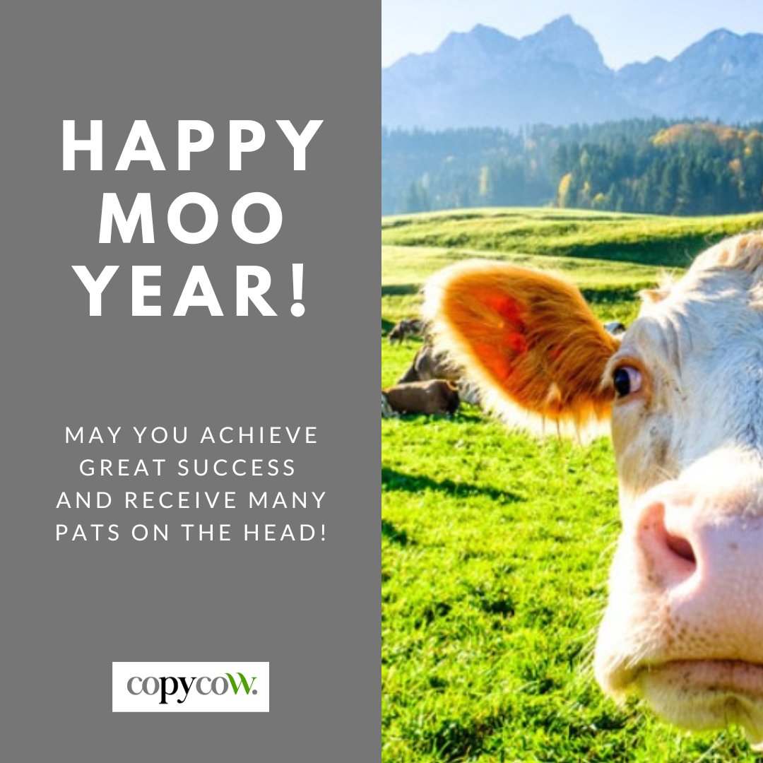 CopycowUK's tweet photo. Happy Moo Year to all happy, grounded, grafters across the nation!
#BeHappy #NewYear #madcow #business #life #love #happy #copycow #copywriter #freshthinking #freshcontent #Marketing https://t.co/mD2J0ddaK9