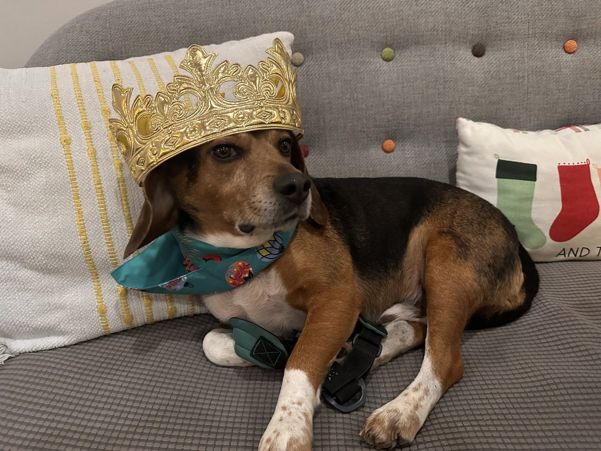 New year, new posts! Hope everyone had a great holiday season and wishing everyone a happy and healthy new year!