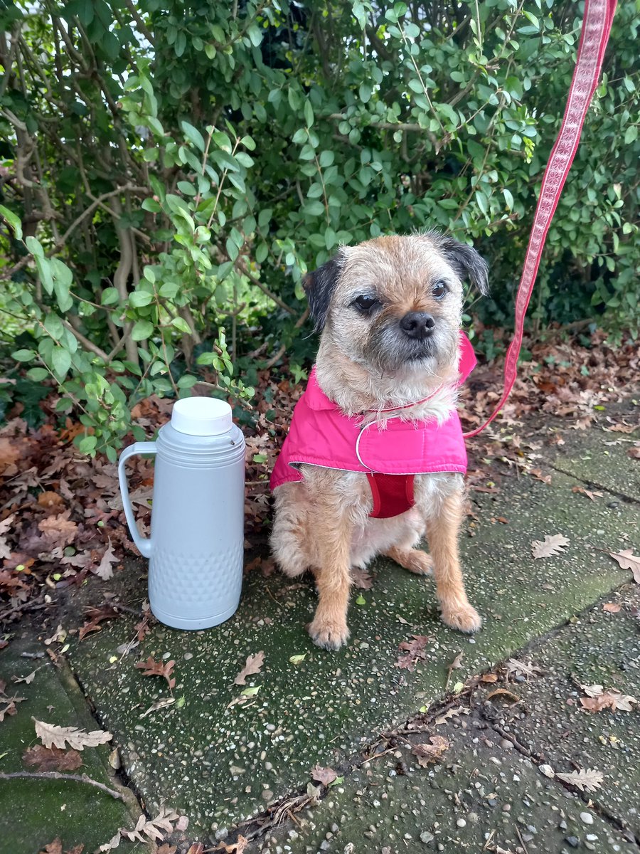 misheleneous's tweet image. So not your average Monday then....! Thank you to whoever nominated Heidi - she's well chuffed, and wishes you all a happy, healthy, peaceful 2024. Her  New Year message is: 'May your Flask/Mug/Toaster/Bottle be always half full'. Cheers! 🥂 #BTPosse #BTPNYH