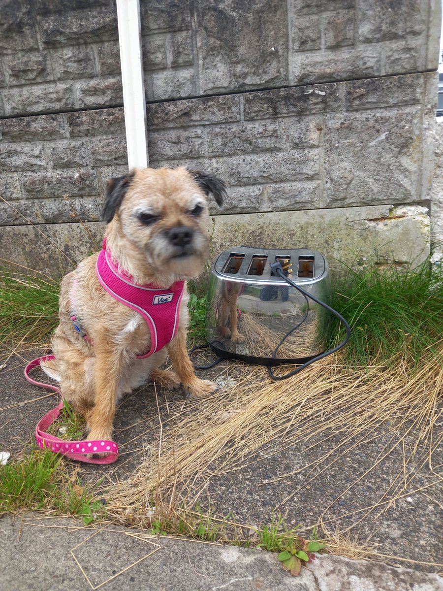 misheleneous's tweet image. So not your average Monday then....! Thank you to whoever nominated Heidi - she's well chuffed, and wishes you all a happy, healthy, peaceful 2024. Her  New Year message is: 'May your Flask/Mug/Toaster/Bottle be always half full'. Cheers! 🥂 #BTPosse #BTPNYH