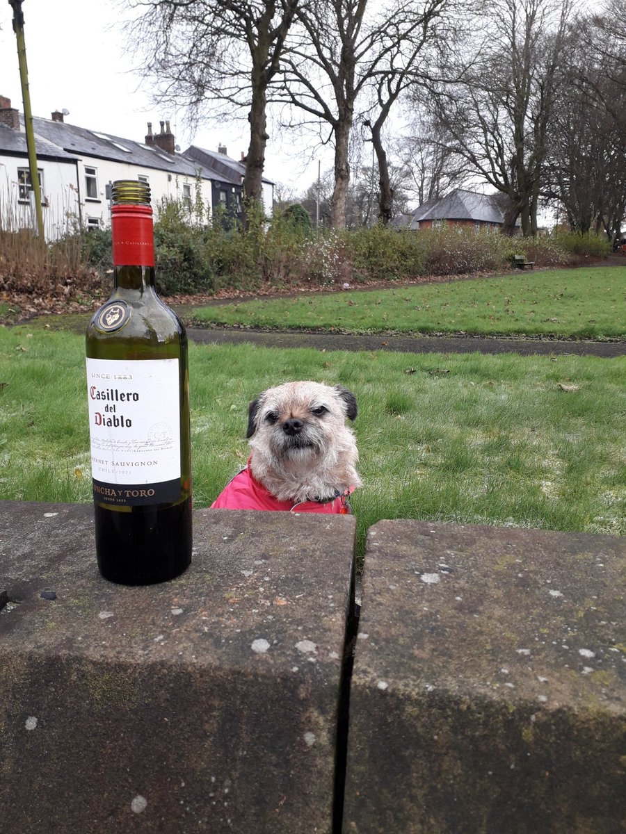 misheleneous's tweet image. So not your average Monday then....! Thank you to whoever nominated Heidi - she's well chuffed, and wishes you all a happy, healthy, peaceful 2024. Her  New Year message is: 'May your Flask/Mug/Toaster/Bottle be always half full'. Cheers! 🥂 #BTPosse #BTPNYH