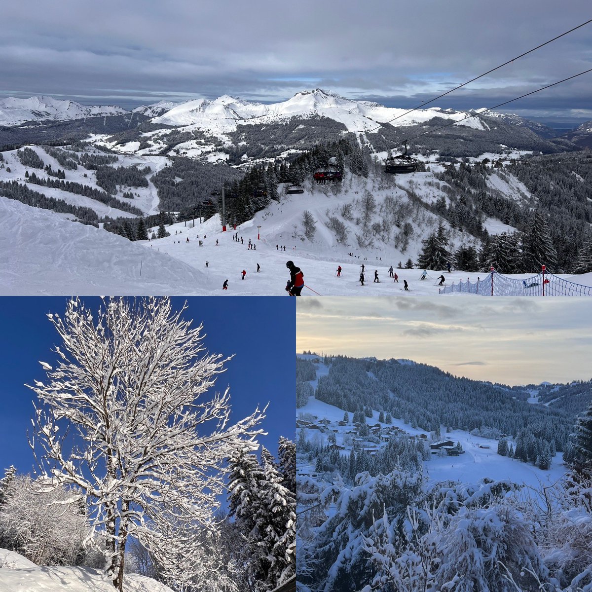 The best place to start 2024! A fresh snowfall just in time … #myhappyplace