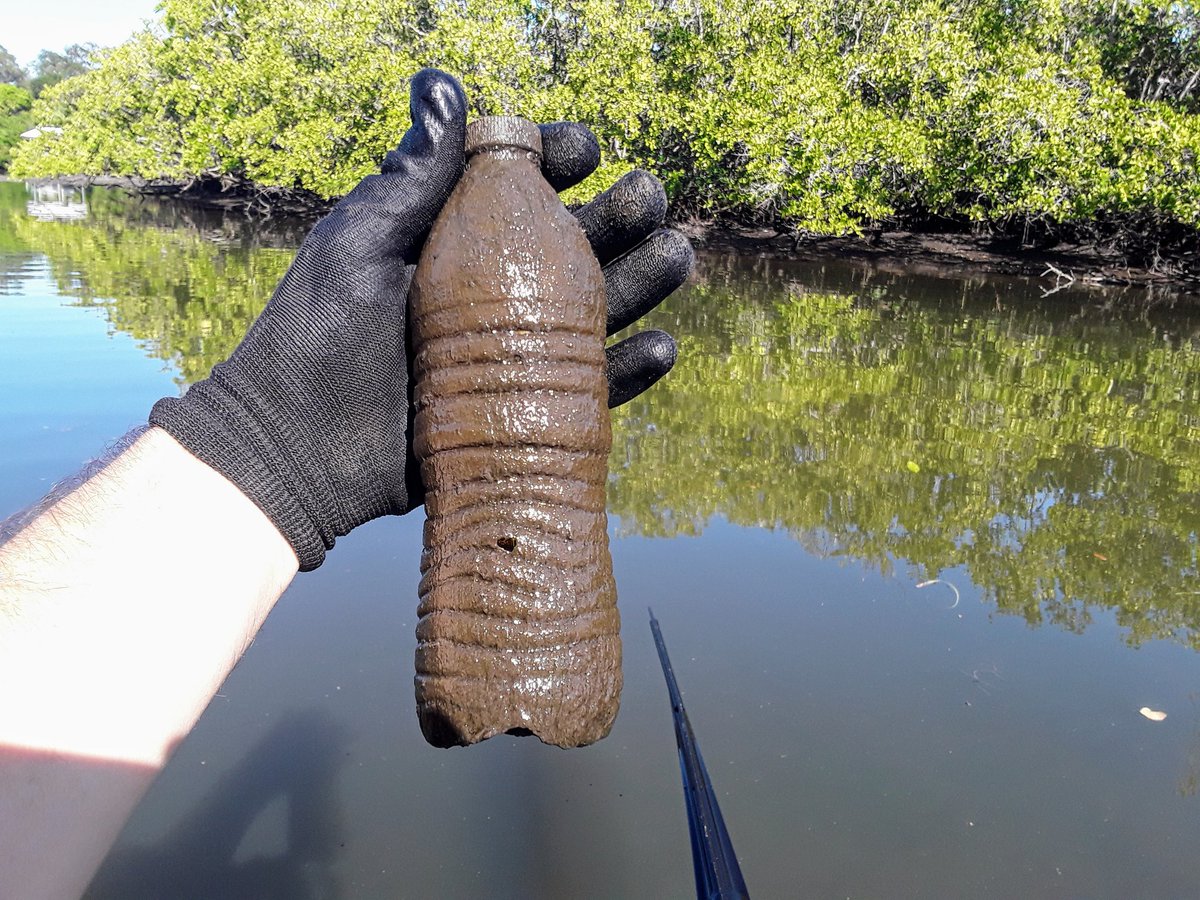TJRPitt's tweet photo. Pulled 3 separate fishing nets off the bottom of Clearwater's Stevenson creek today + a bucket & 1 dirty Earthcleanup🌎 bag of Litter.
And instead of "Let's Reuse and Recycle", how about "Just Refuse" #plasticpollution!🤚 https://t.co/fpp8JyDBR0