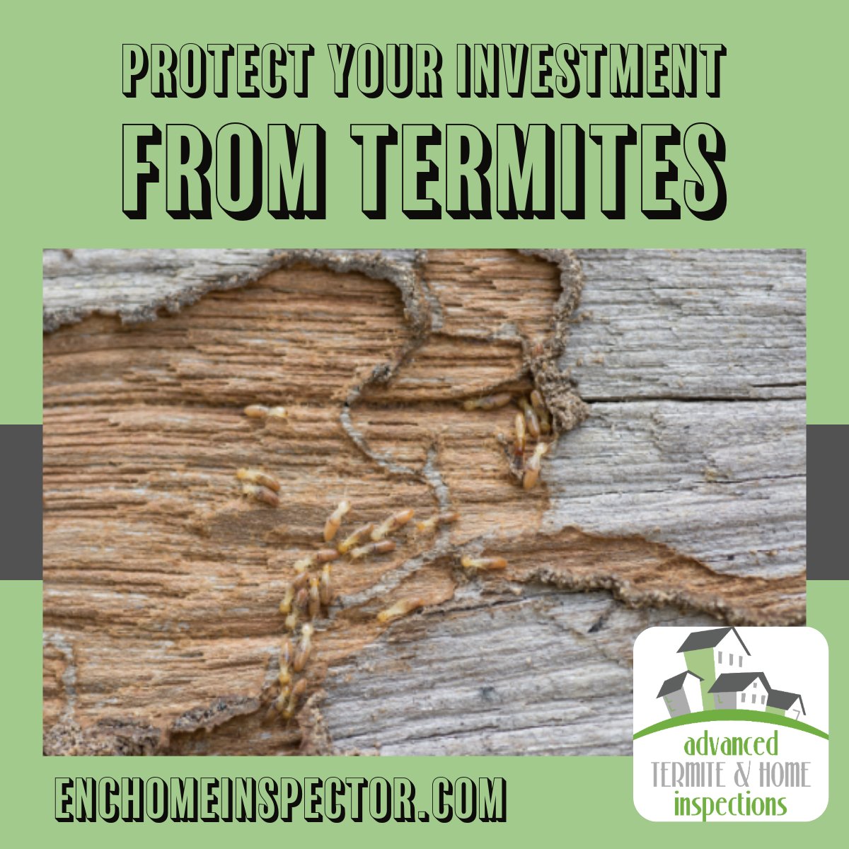 Call on Advanced to Defend Your Home, Conquer Termites and have Unyielding Protection for Peace of Mind! #termites #termitecontrol #termiteinspection #WDO #VALoan #homeinspection #termiteinspector