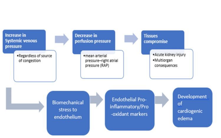 Happy New Year! Welcome to 2024 🍾 Enjoy this article from Aug 2023 published in Cureus Journal of Medical Science entitled Systemic Venous Congestion Reviewed. What if venous congestion is the cause of hypotension? Can POCUS help us? buff.ly/3S2Zra3