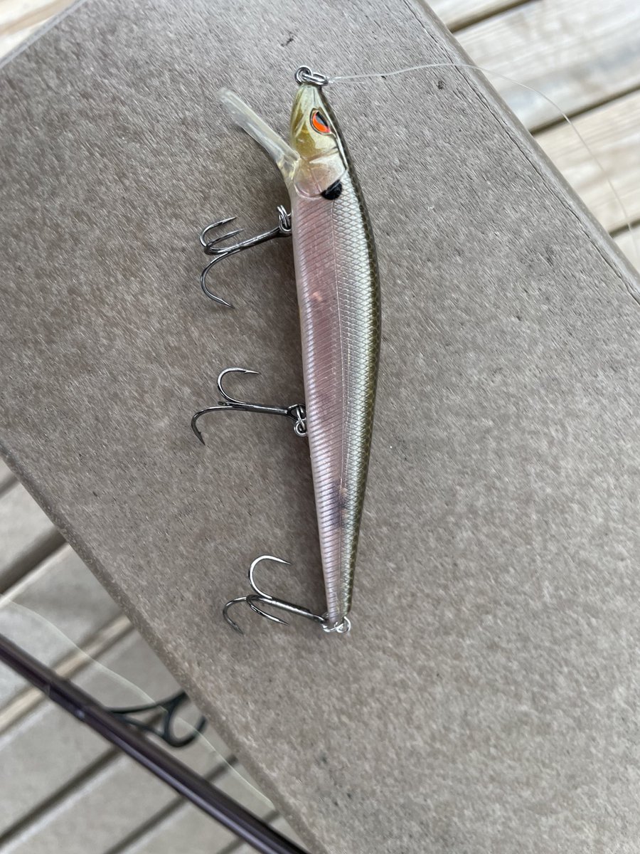 andy_olds's tweet photo. QUESTION: What do I do in between Bowl games? ANSWER: Throw a McStick Jerkbait off my dock and trick a 6+ plus “Hawg” into eating!! A CRAZY way to start 2024! Looks like my McStick will need some new hardware! #goodproblemtohave 🐟🙏 https://t.co/7CHQd9jltm