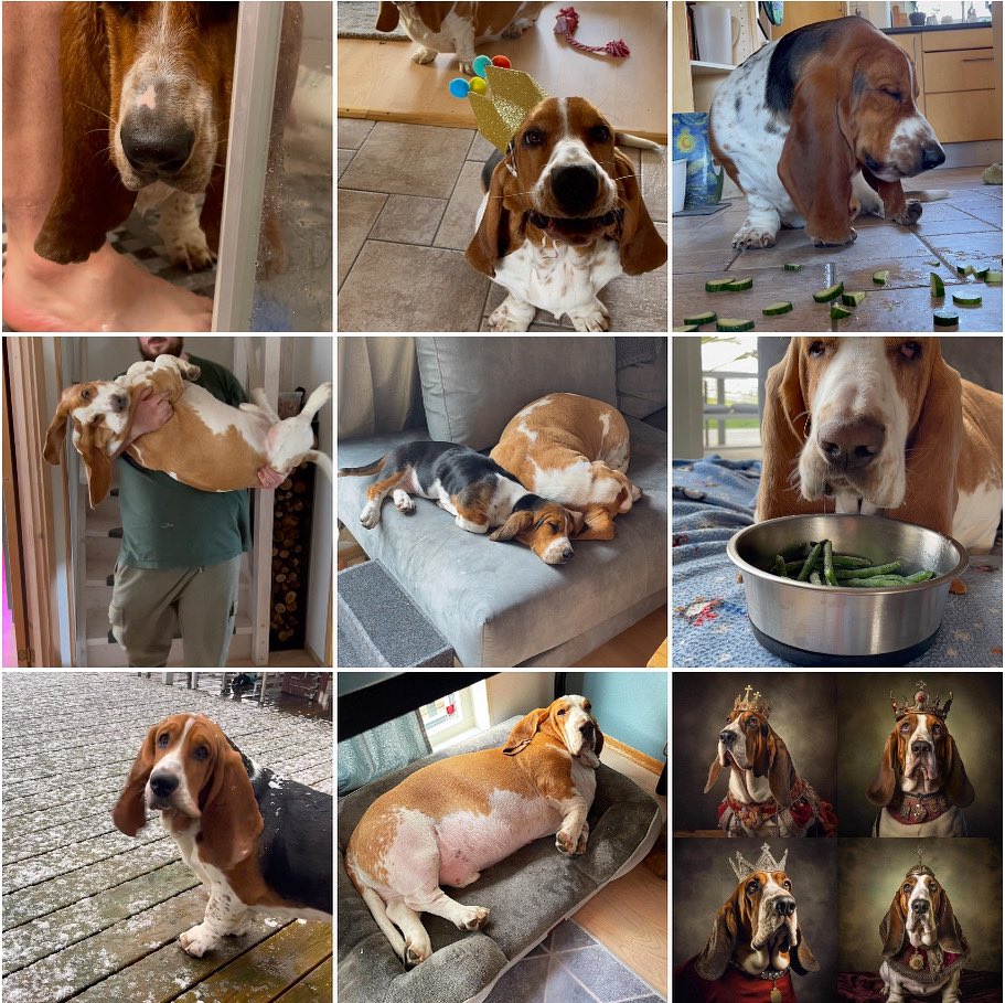 The top moments of 2023 in a Thread: How two royal basset hounds celebrated life in style 🐶😂❤️👑 (Scroll to see our Reels again)