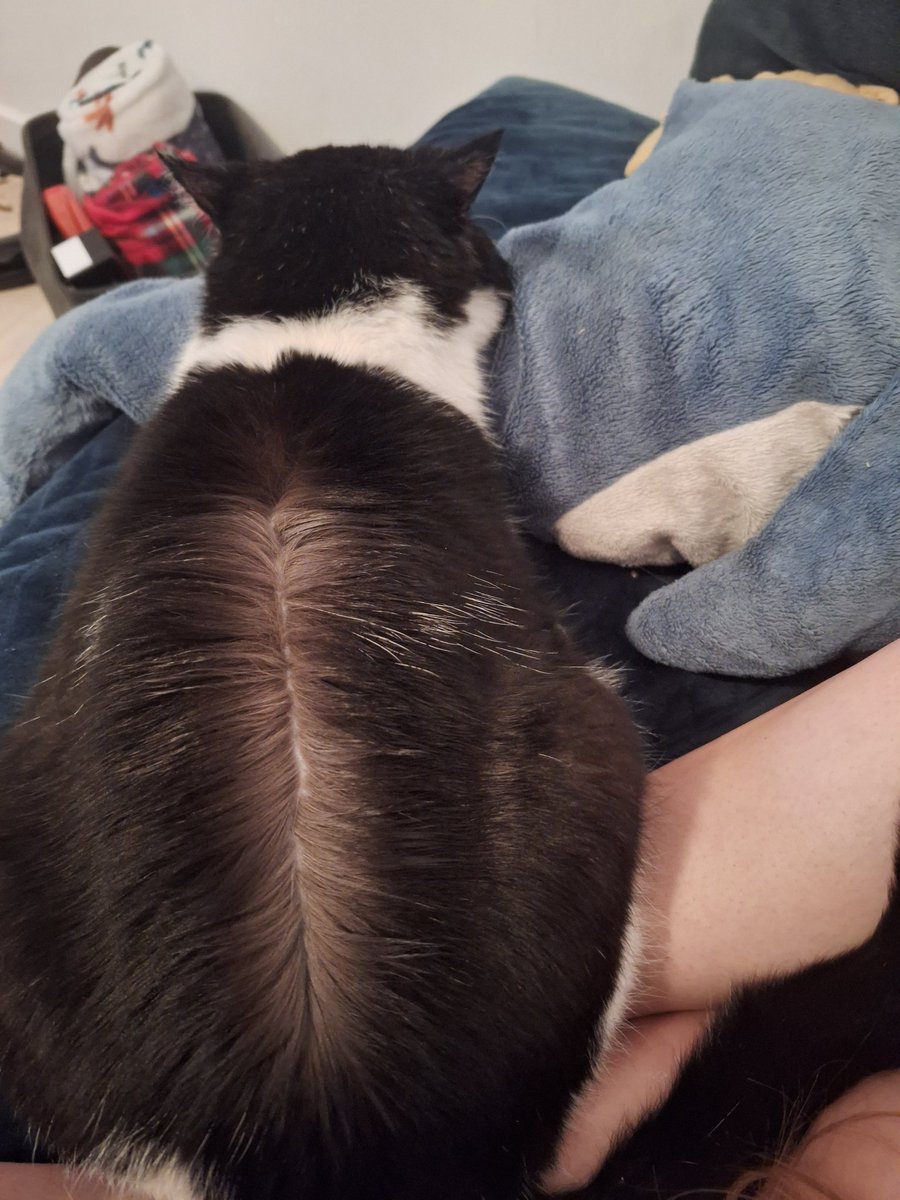 Griffin (@griffin_osu)  X