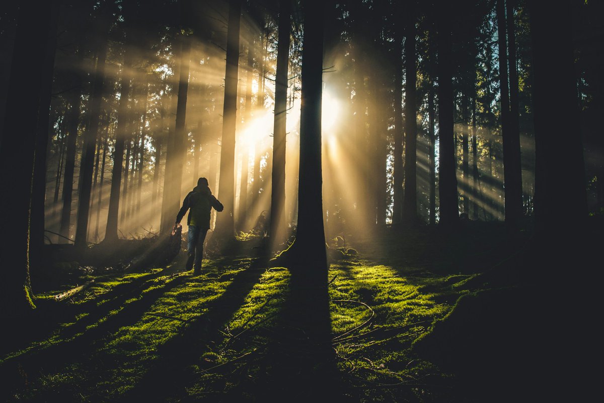 realNDWalsch's tweet photo. Once we start setting aside that special time for God, and then begin walking through life in wakefulness, we will be aware that we are receiving communications from the Divine all the time. Now, suddenly, we will notice them. https://t.co/uiFN9oPn8H