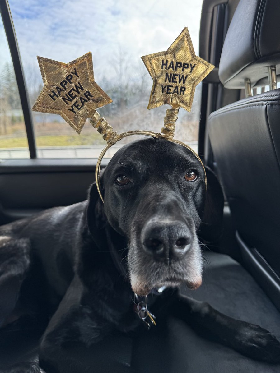 Augie (Shadow 🌈) tweet media