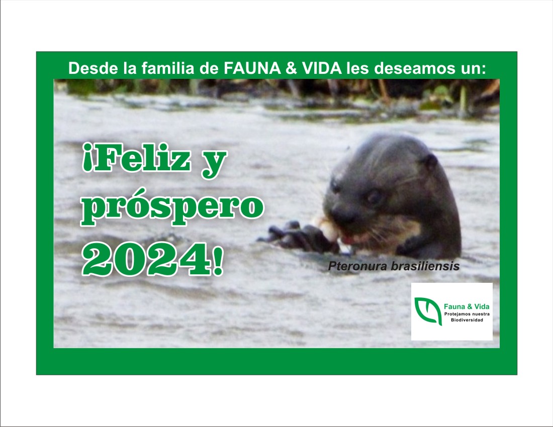 FaunaVida's tweet photo. ¡Feliz año nuevo faunamigos!

#faunasilvestre #vidasilvestre #faunayvida https://t.co/lyh1S9Eufo