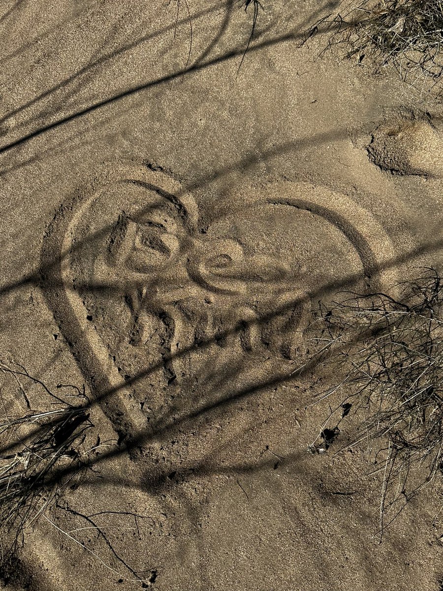 Ann Ordway tweet media